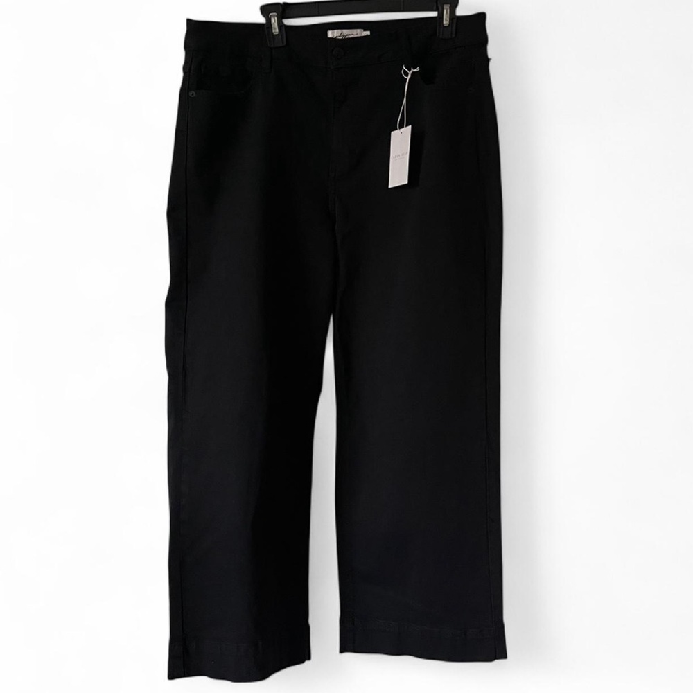 Carly Jean High Rise Wide Leg Black Jeans 1X